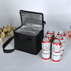 portable insulated lunch and cooler bag
