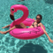Flamingo Float Deluxe Pool Ring 0