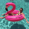 Flamingo Float Deluxe Pool Ring 0