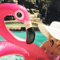 Flamingo Float Deluxe Pool Ring 1
