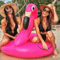 Flamingo Float Deluxe Pool Ring 2
