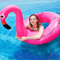 Flamingo Float Deluxe Pool Ring 3