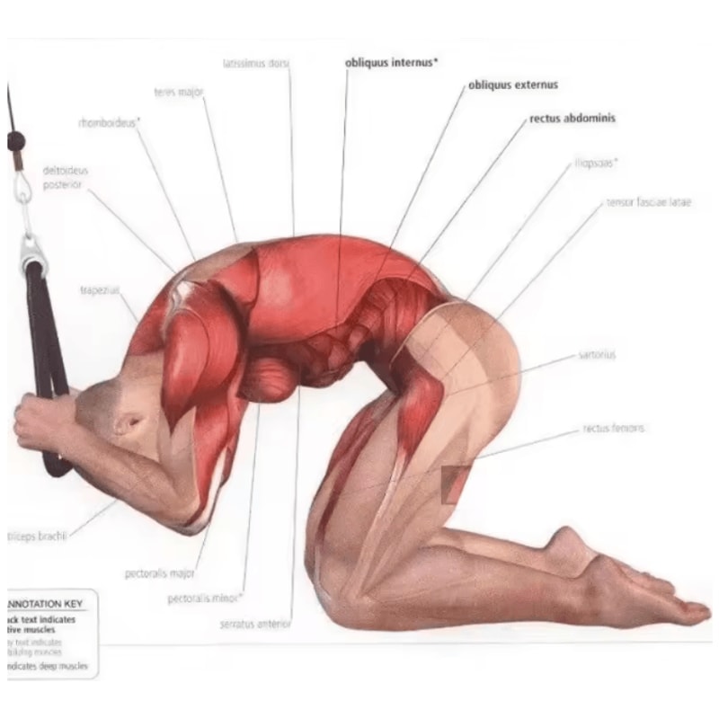 PowerFlex Training Rope Handle Set 2