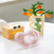 AppleSoft Baby Pacifier Set 10