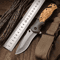 Compact Outdoor Folding Knife 4