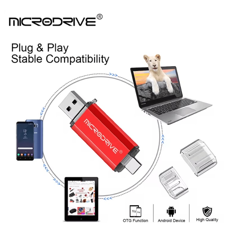 DualConnect Type C Flash Drive 2