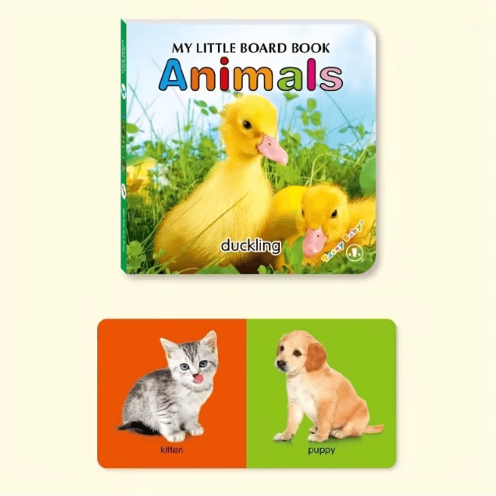 BrightMind Baby Sensory Card Book Colorful Early Learning Toy 6