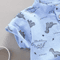 Toddler Dinosaur Print Summer Outfit Short Sleeve Shirt And Shorts Set 0