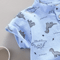 Toddler Dinosaur Print Summer Outfit Short Sleeve Shirt And Shorts Set 0