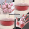 Velvet Matte Lip Cream Water Light Lip Glaze Cute Pendant Design 9