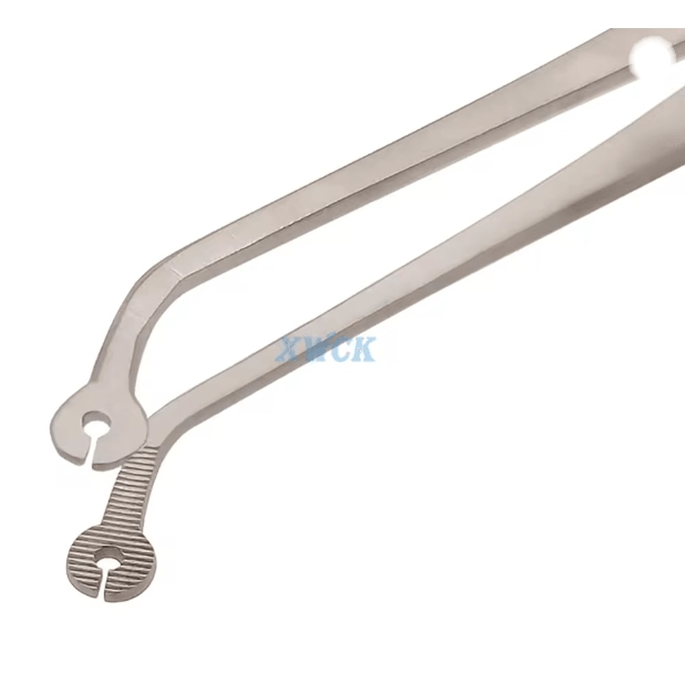 Precision Dental Surgical Tweezers Stainless Steel Forceps 3
