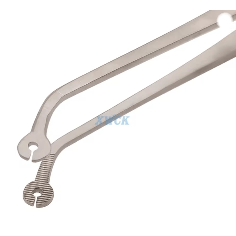 Precision Dental Surgical Tweezers Stainless Steel Forceps 3