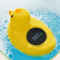 SunnyDuck Baby Bath Thermometer Floating Water Temperature Indicator 3
