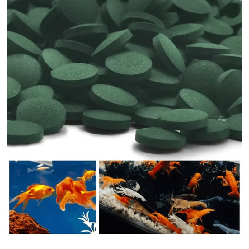 AquaVital Spirulina Fish Food Tablets For Aquarium Pets 3