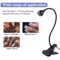 5W UV Gel Nail Lamp With Clip And Flexible Arm Nail Dryer 1