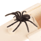 Wooden Spider Prank Box Surprise Toy For Halloween And Party Fun 1