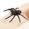 Wooden Spider Prank Box Surprise Toy For Halloween And Party Fun 1