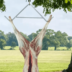 heavy duty stainless steel deer hoist gambrel for hunting and game processing