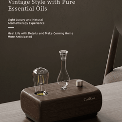 vintage aroma diffuser tungsten filament lamp essential oil humidifier