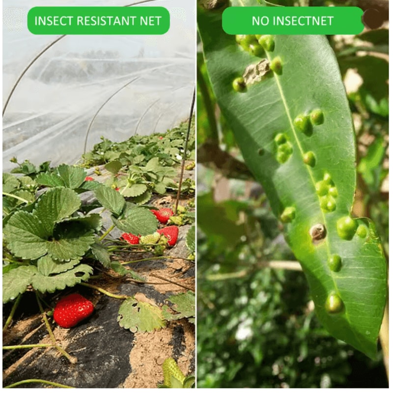 GardenShield Insect Protection Net Anti Pest Plant Cover Mesh Screen 3