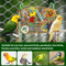 ForageFun Handmade Bird Foraging Toy For Parakeets And Small Parrots 1