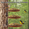 Tree Mounted Bird Feeding Trays Multifunctional Garden Feeder Set 3