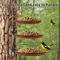 Tree Mounted Bird Feeding Trays Multifunctional Garden Feeder Set 3