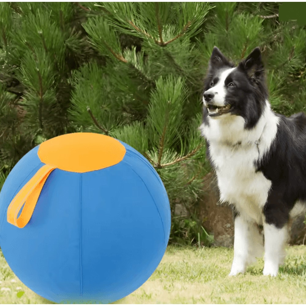 Interactive Herding Ball Dog Toy For Outdoor Training 3