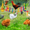 Chicken Foraging Toy Set Hanging Enrichment Toys For Poultry 1