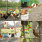Chicken Foraging Toy Set Hanging Enrichment Toys For Poultry 2
