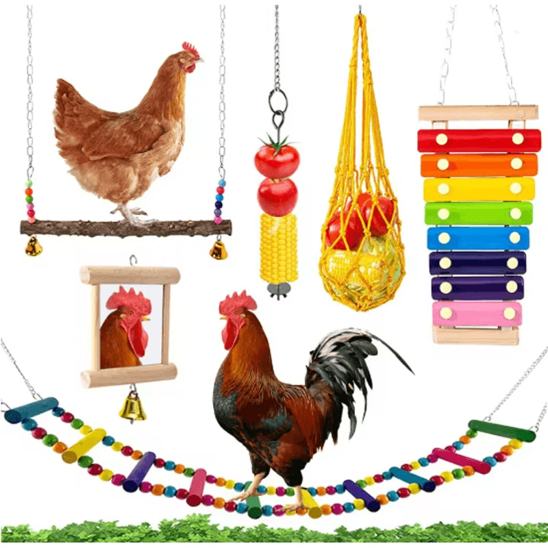 Chicken Foraging Toy Set Hanging Enrichment Toys For Poultry 4