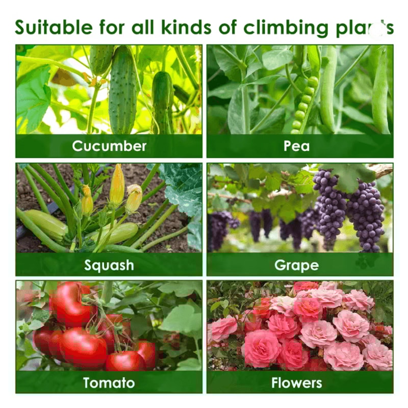 A Frame Garden Plant Trellis For Cucumber Tomato And Climbing Vegetables 2