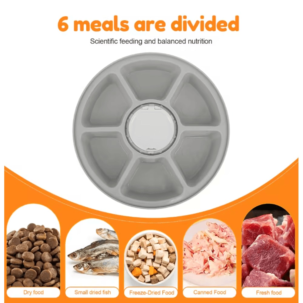 Automatic Pet Feeder With Timer 6 Meal Smart Food Dispenser 2