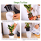 Self Watering Flower Pots Automatic Water Absorbing Plant Pots Set 1