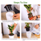 Self Watering Flower Pots Automatic Water Absorbing Plant Pots Set 1