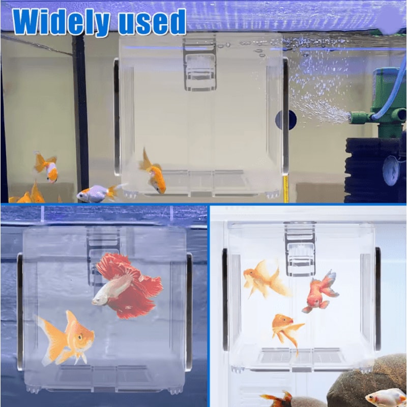Clear Aquarium Breeder Box Fish Isolation Hatchery With Mesh Lid 2