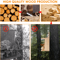 Large Wooden Squirrel Feeder Outdoor Squirrel House With Durable Design 2