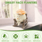 Smile Face Planter Rocking Chair Plant Pot Decorative Indoor Flower Pot 2