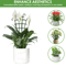 Garden Plant Climbing Trellis Set Reusable Vegetable Support Stakes For Pots 2