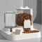 Automatic Pet Feeder With Water Fountain Large Capacity Food Dispenser 4