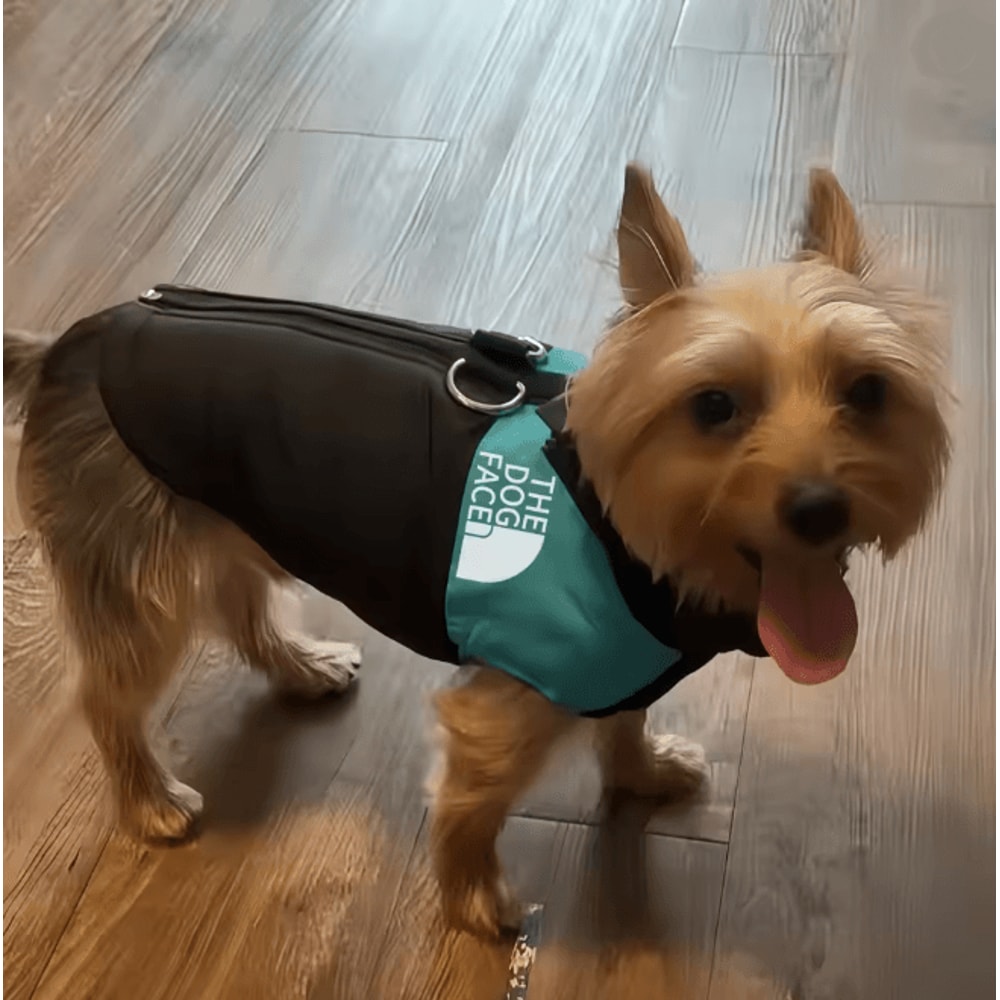 Warm Dog Hoodie Jacket Winter Sports Coat For Medium And Large Dogs 2