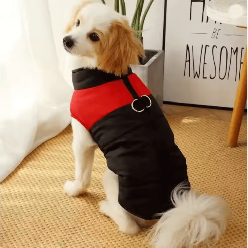 Warm Dog Hoodie Jacket Winter Sports Coat For Medium And Large Dogs 3