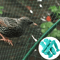 Garden Bird Protection Net Nylon Mesh For Fruit And Vegetable Plants 2