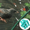 Garden Bird Protection Net Nylon Mesh For Fruit And Vegetable Plants 2