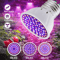 GrowMax Full Spectrum LED Grow Light Bulb E27 For Indoor Plants 0