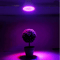 GrowMax Full Spectrum LED Grow Light Bulb E27 For Indoor Plants 1