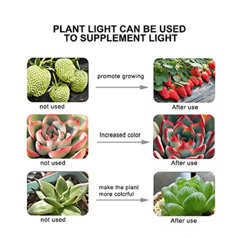 GrowMax Full Spectrum LED Grow Light Bulb E27 For Indoor Plants 3