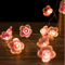 Cherry Blossom LED Fairy String Lights 3M Pink Flower Battery Powered Decoration Lights 3