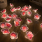 Cherry Blossom LED Fairy String Lights 3M Pink Flower Battery Powered Decoration Lights 5