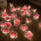 Cherry Blossom LED Fairy String Lights 3M Pink Flower Battery Powered Decoration Lights 0